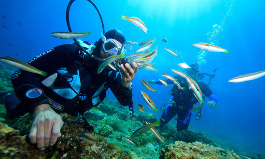 Go Diving and Snorkeling
