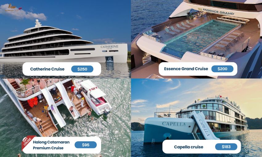 Price list of luxury cruises on Halong Bay Cruise Deals 2024