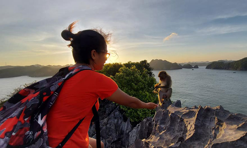 Travel to Monkey Island