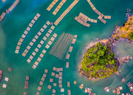 Activities on Halong Bay