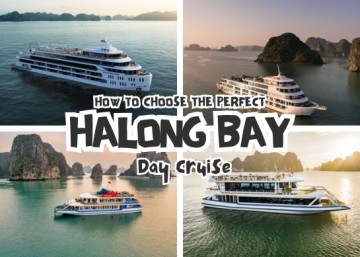 How to choose the perfect Halong Bay Day Cruises?
