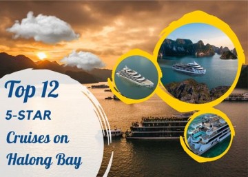 [Top 12] 5-Star Cruises on Halong Bay