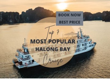 Top 7 Most Popular 1-Night Halong Bay Cruises in 2024