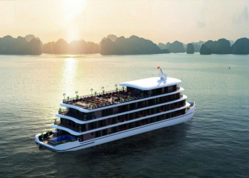 Cycad Grand Cruise