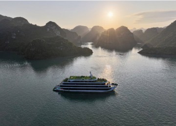 Velar of The Sea Cruise
