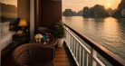 Amour Cruise