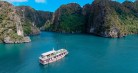 Arcady Cruise