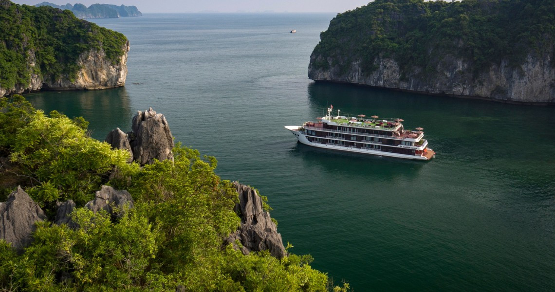 Amour Cruise