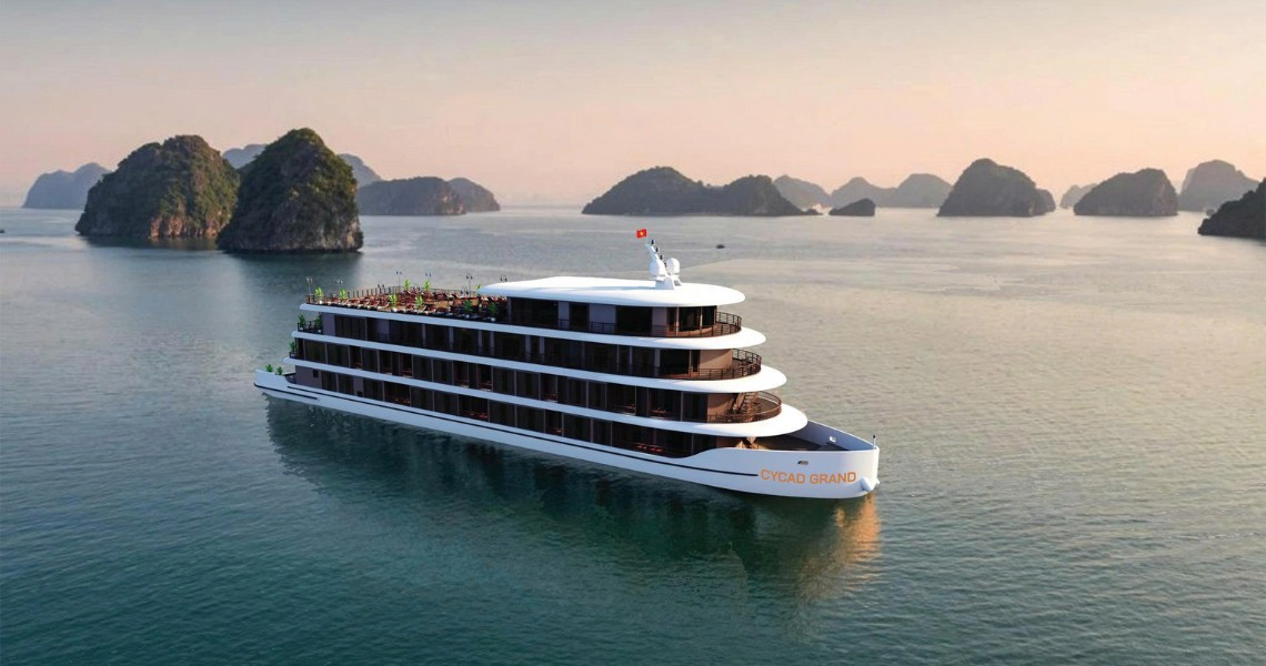 Cycad Grand Cruise