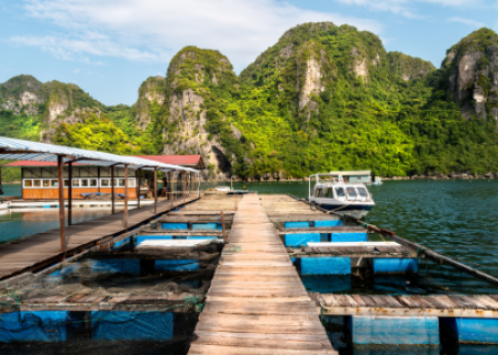 Halong Bay - Sung Sot Cave - Tuan Chau Port