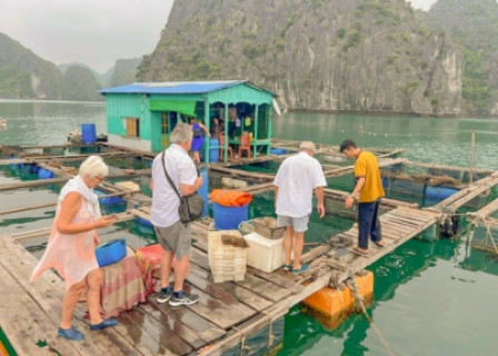 Trung Trang Cave – Lan Ha Bay – Halong Bay – Tuan Chau